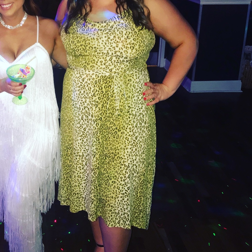 Animal Print Dress XL
